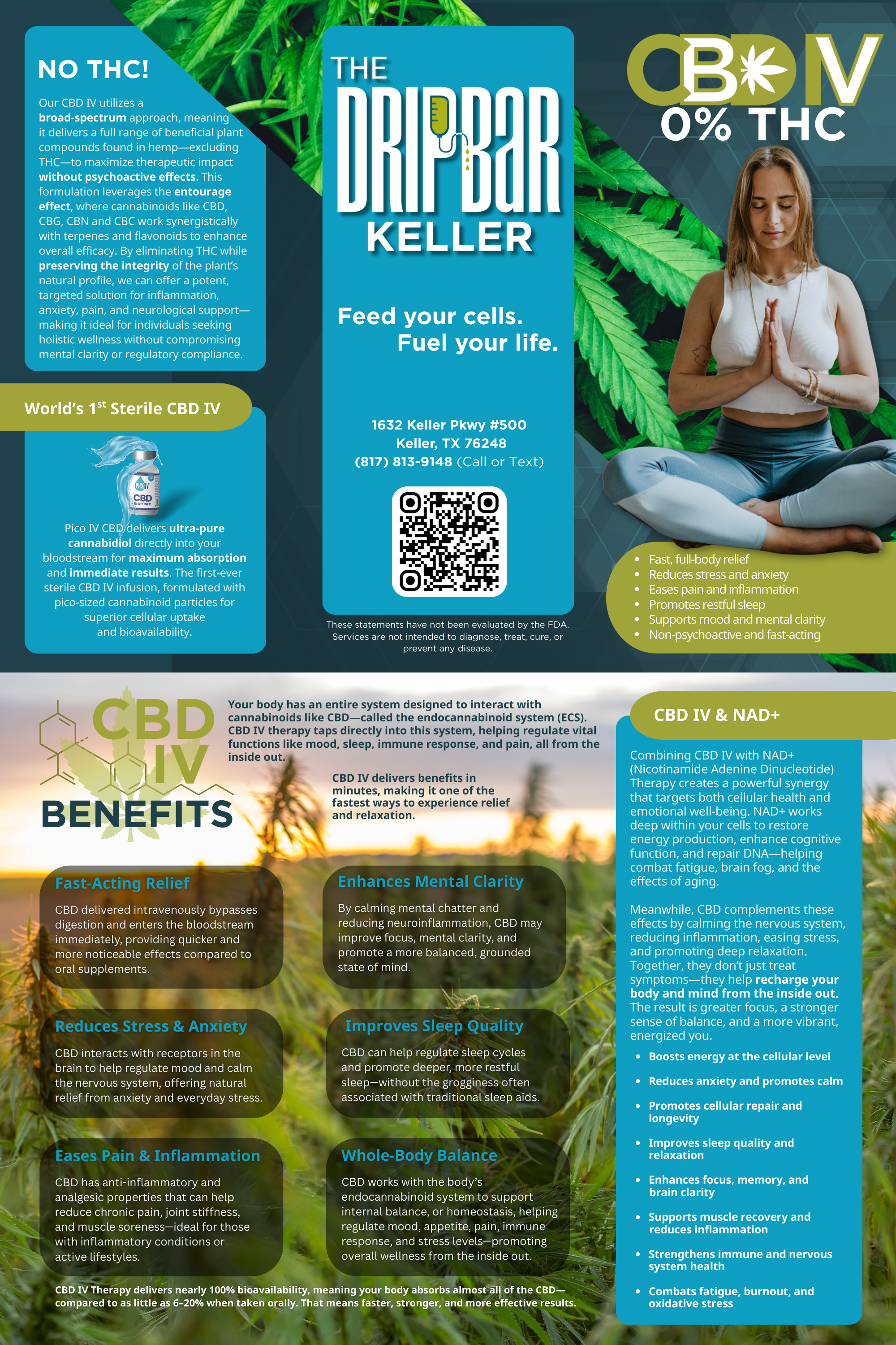 Brochure 3
